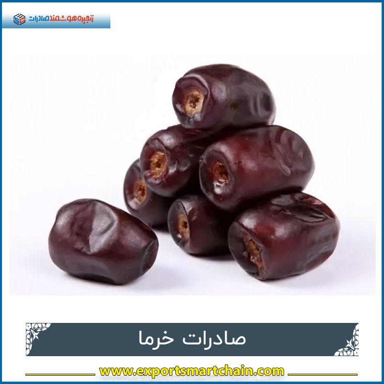 صادرات خرما