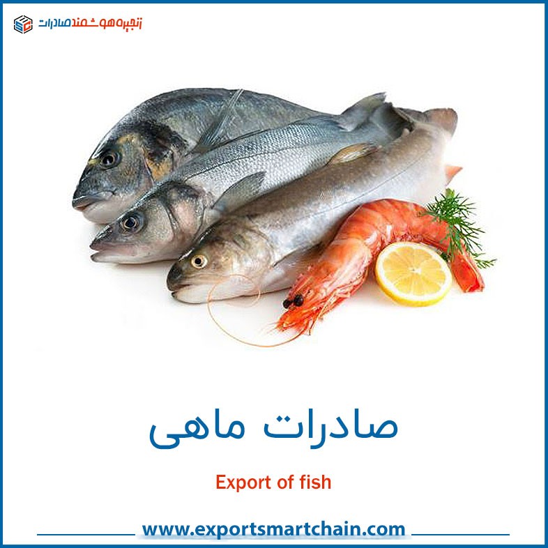 صادرات ماهی