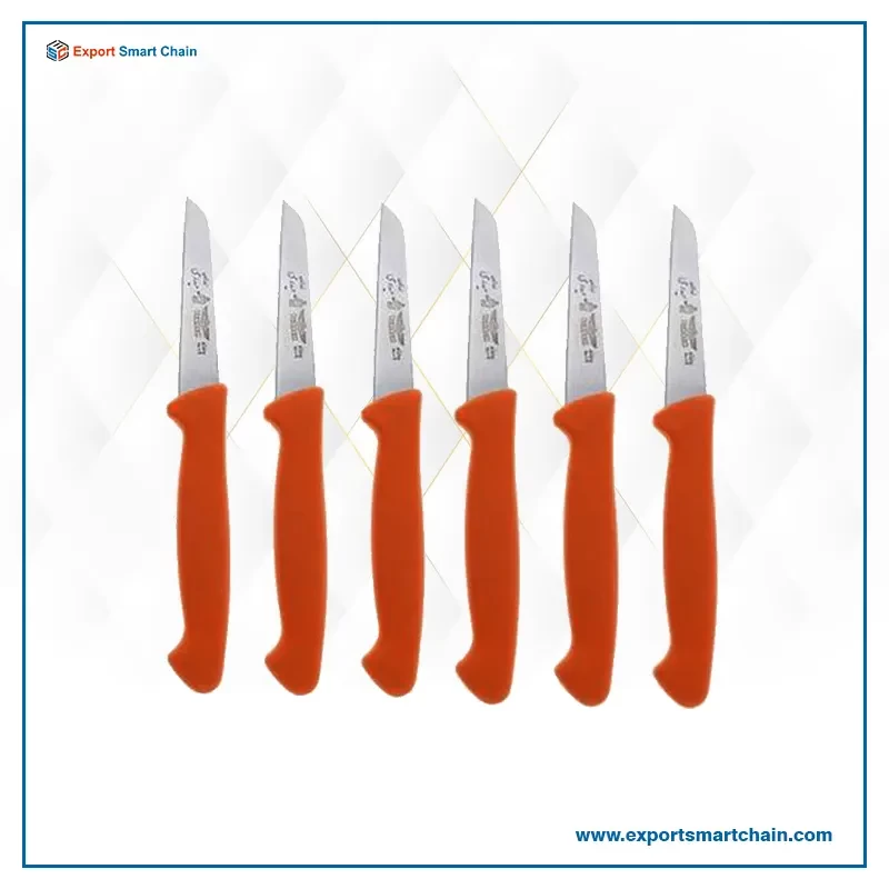 کارد میوه خوری حیدری مدل BET-PP99 مجموعه 6عددی