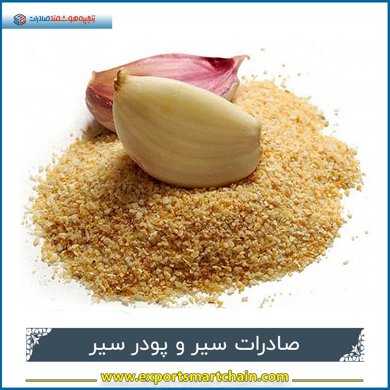 صادرات سیر و پودر سیر