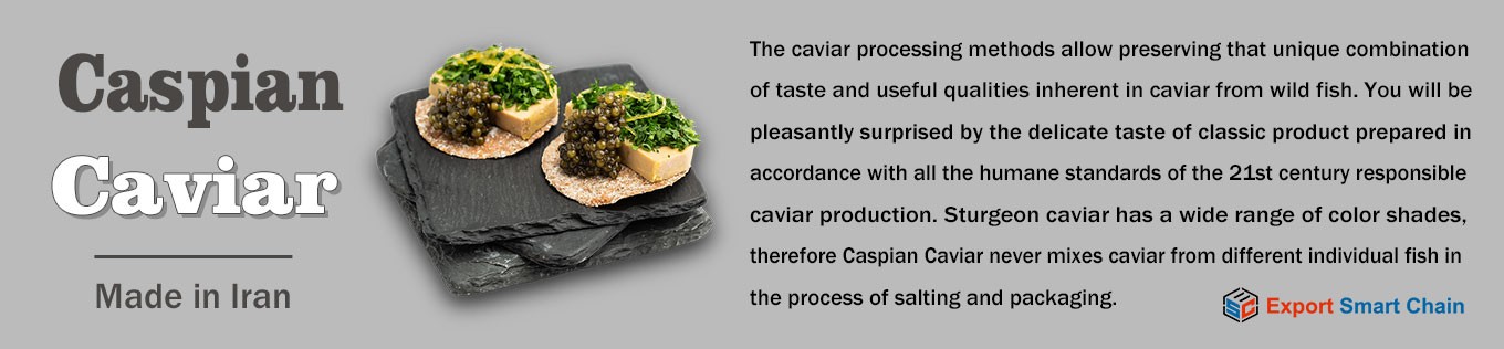 زنجیره هوشمند صادرات promo