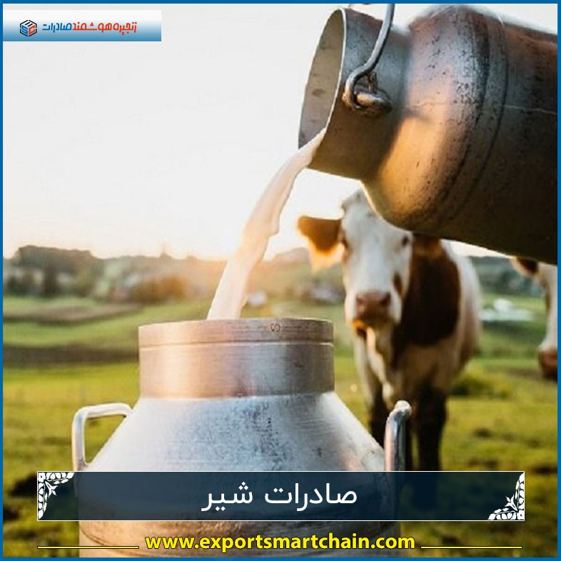 صادرات شیر