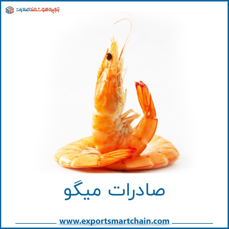 صادرات میگو